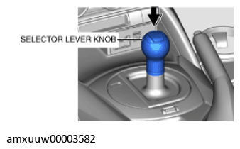 G11279386