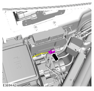 G11308431