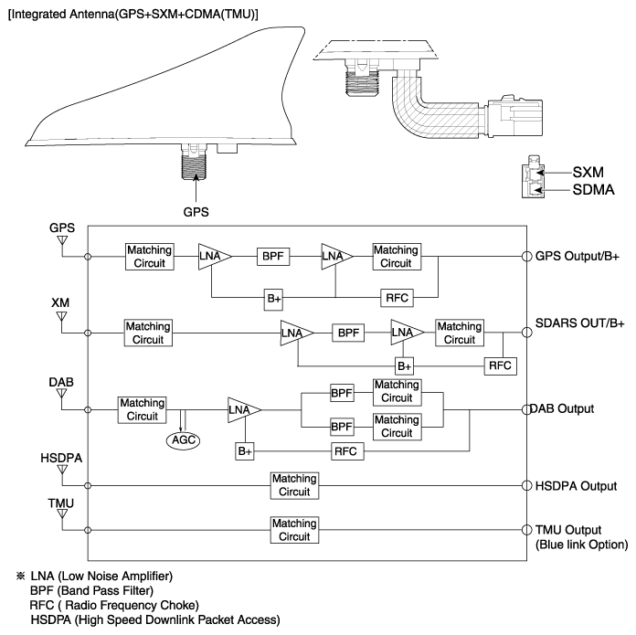 G11341218