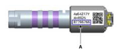 G11404761