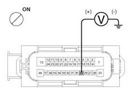 G11405136