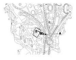 G11411556