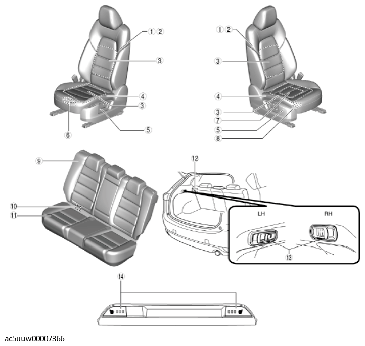 G11426513