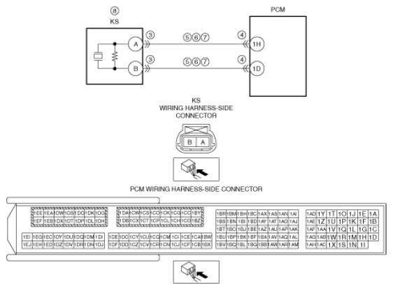 G11431494