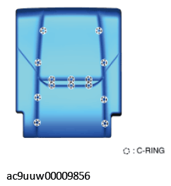 G11432610