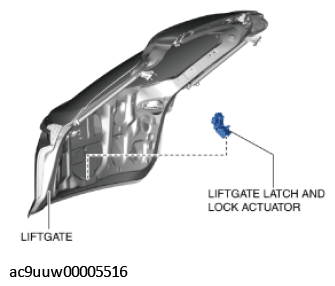 G11432747