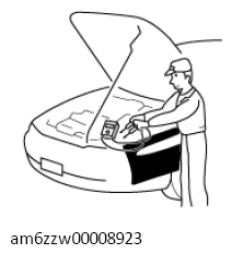 G11433433