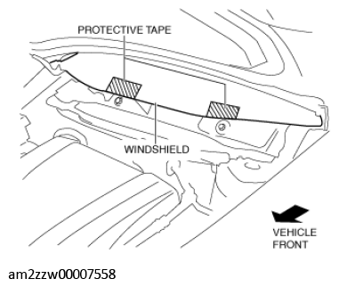 G11434498
