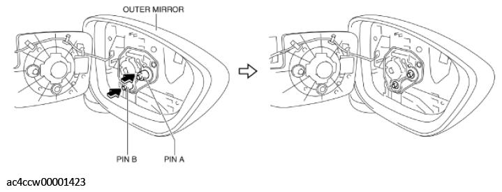 G11434686