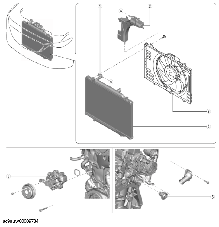 G11436181