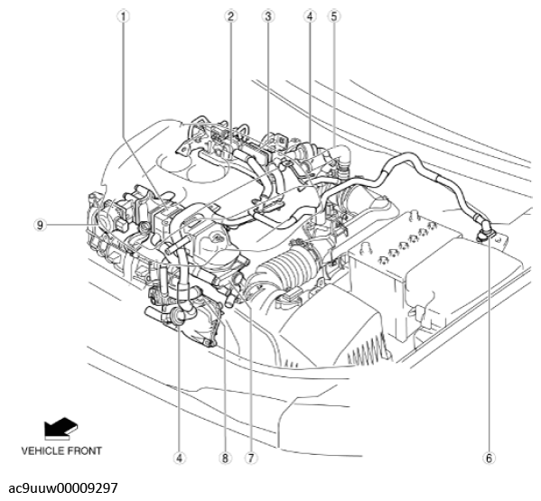 G11436264