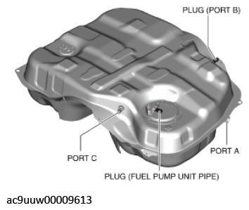 G11436370