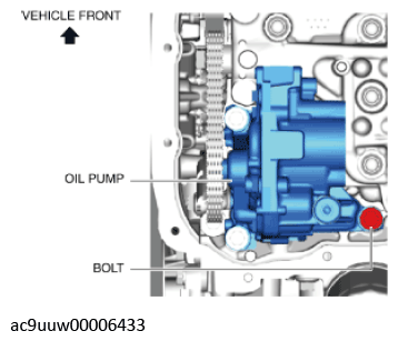 G11436497