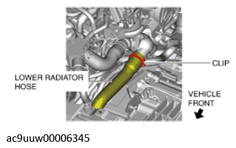 G11436673