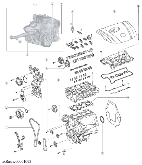G11437176