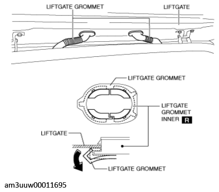 G11447665