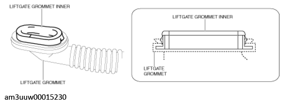 G11447672