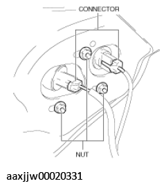 G11449595