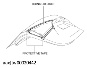 G11449628