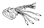 G11479995