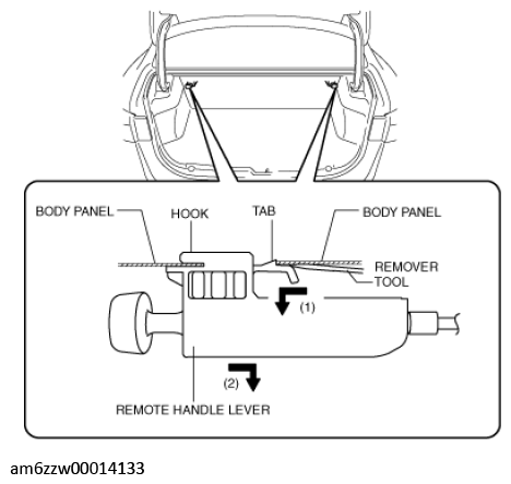 G11543725