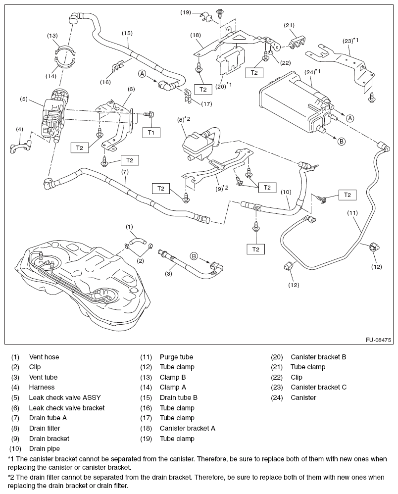 G11571439