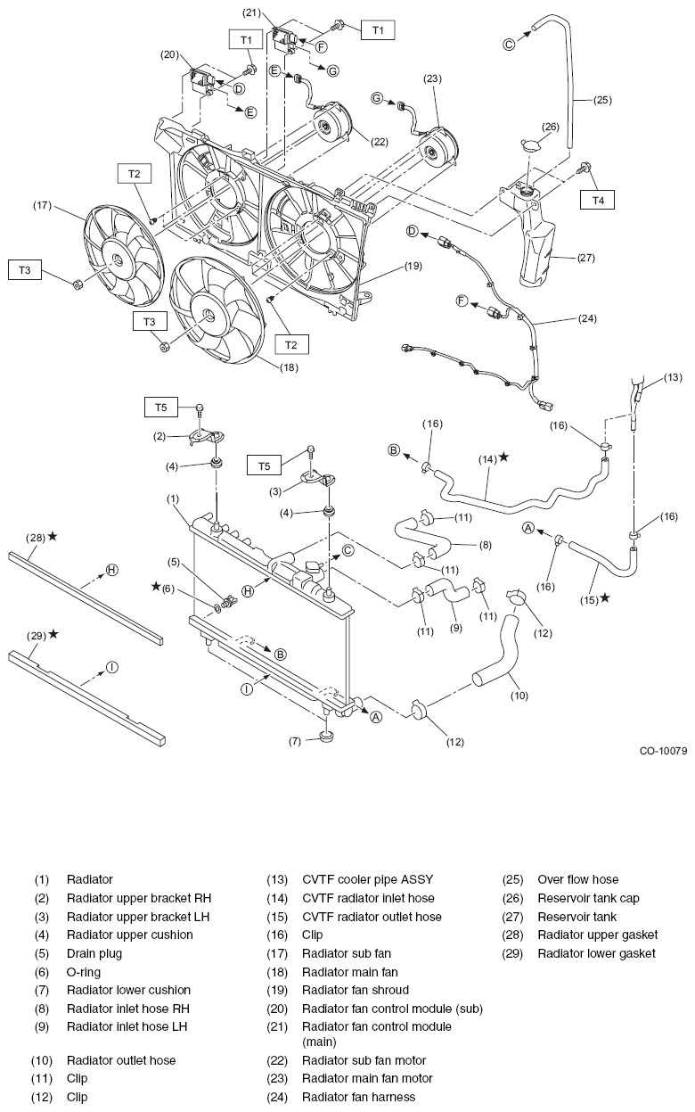 G11586234