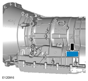 G11592301
