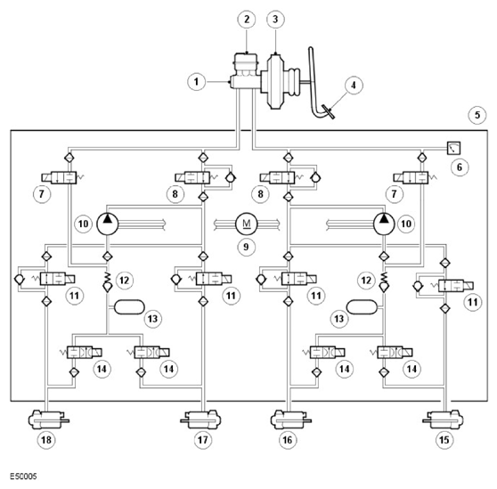 G11597360