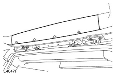 G11599095