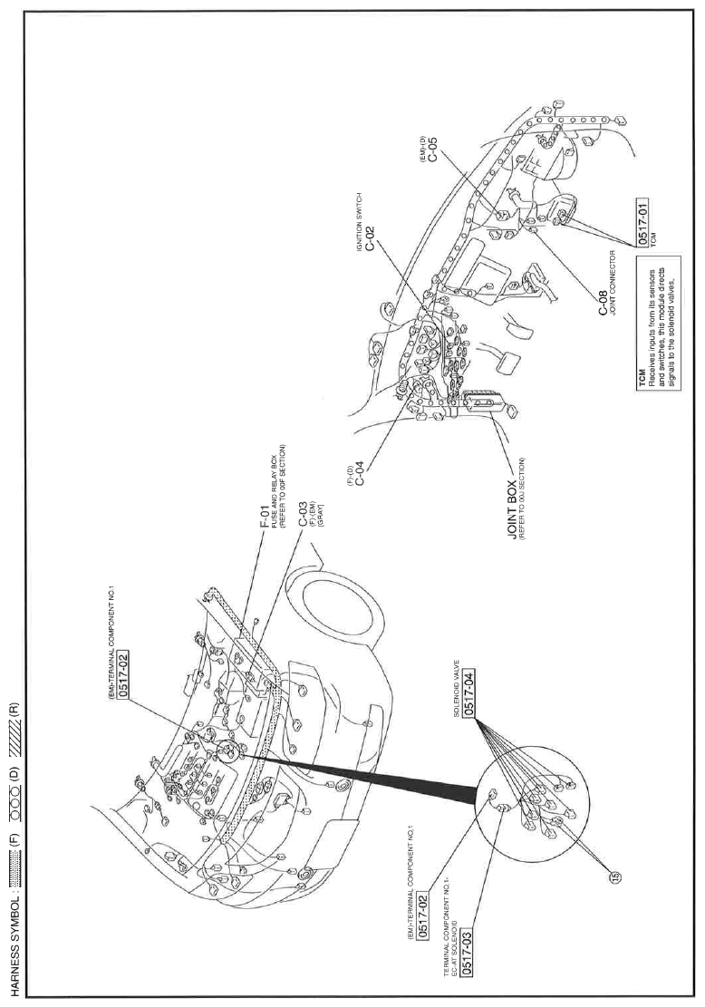 G11615066