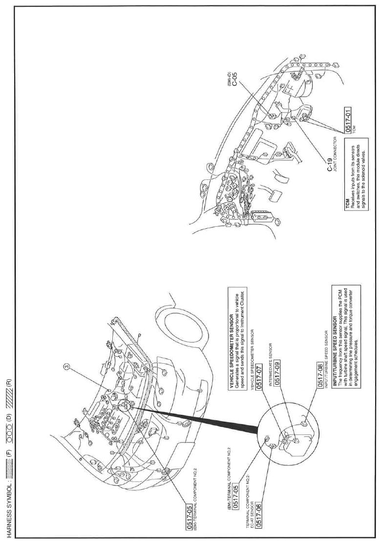 G11615068