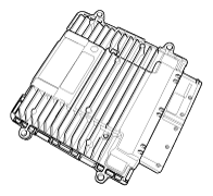 G11631272