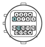 G11631284
