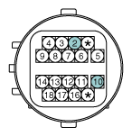 G11631303