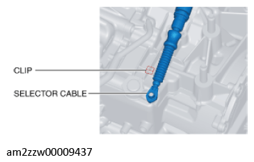 G11637681