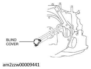 G11637685