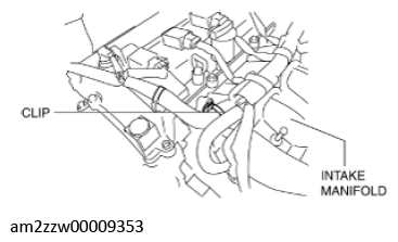 G11637690