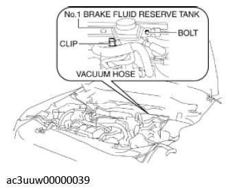 G11637696