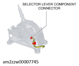 G11637774