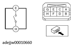 G11637775