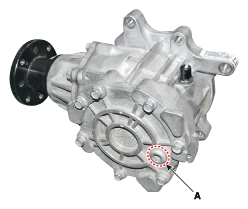 G11644037