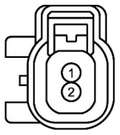 G11680240