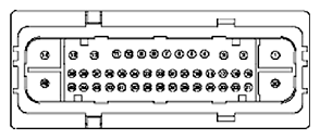 G11681655