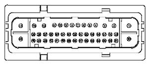 G11681753