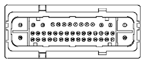 G11681755