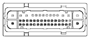G11681757