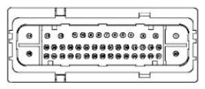G11681783