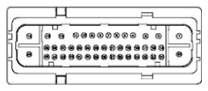 G11681800