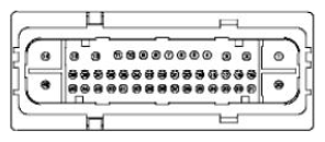 G11681802
